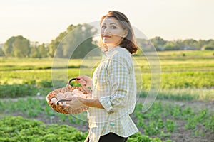 Outdoor portrait of farmer woman with basket of fresh chicken eggs, farm