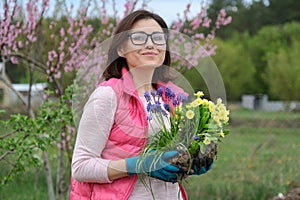 Outdoor portrait of smiling middle-aged woman in garden gloves with flowers for planting, spring flowering garden background, copy