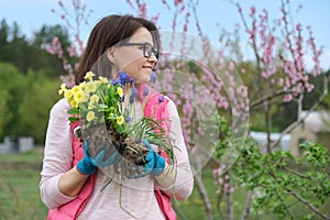 Outdoor portrait of smiling middle-aged woman in garden gloves with flowers for planting, spring flowering garden background, copy