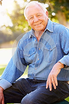 Outdoor Portrait Of Smiling Senior Man