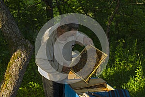 outdoor portrait of Ukrainian peasant taking frame full of bees