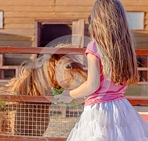 Outdoor portrait of young smiling child girl feeding horse on fa