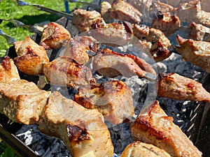 Outdoor recreation in the company. barbecue with friends. food on the grill. skewers with juicy, appetizing meat. natural food,