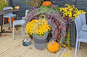 Outdoor restaurant seating with colorful Autumn motif