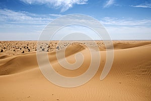 Outdoor sand pattern dune oman old desert rub al khali