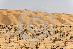 Outdoor sand pattern dune oman old desert rub al khali