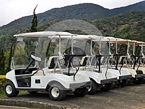 Outdoor scenery during day time with a row of golf carts.