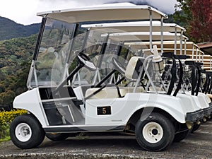 Outdoor scenery during day time with a row of golf carts.