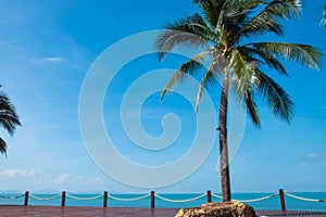 Outdoor shot of beautiful beach ocean scenery with wooden deck walk way beside the sea and coconut tree. With clear blue sky,