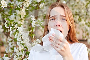 Outdoor shot of discontent young girl has seasonal allergy, uses tissue, poses over blooming tree, has rhinitis and sneezing,