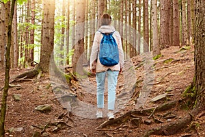 Outdoor shot of girl traveler walking in forest, girl with blue backpack in woods, young lady walks along forest path, woman with