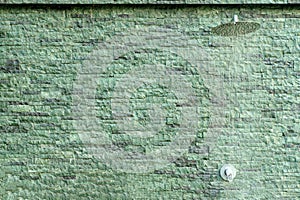 Outdoor Shower Head with Green Brick Wall