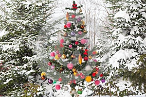 Outdoor snow covered Christmas Tree