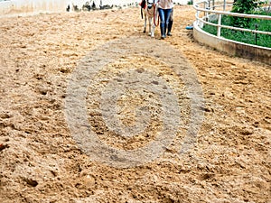 Outdoor space of sand on horse race track with horseman leading a horse for a walk.