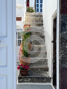 Outdoor Staircase with Potted Plants