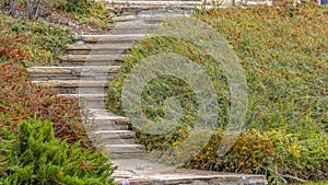 An outdoor stairway on a grassy slope