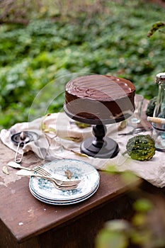 Outdoor still life in autumn garden with whole cake on wooden cake stand with chocolate cream