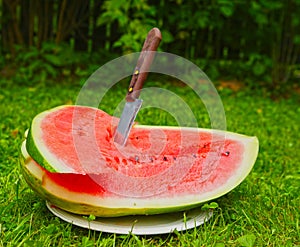 Outdoor still life with water melon and knife