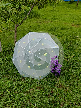 Outdoor stillife with white umbrella and purple flower