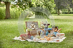 Outdoor summer lifestyle with a gourmet picnic