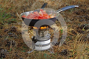 Outdoor survival cooking