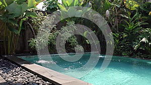 Outdoor swimming pool with fountain statues on sunny background of tropical plants