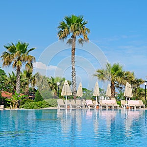 Outdoor swimming pool, palm trees and sunloungers