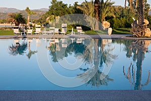 Outdoor Swimming Pool, Palm Trees and White Beach Loungers