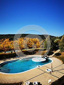 Outdoor swimming pool surrounded by trees
