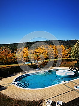 Outdoor swimming pool surrounded by trees