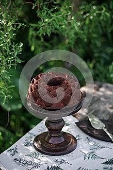 Outdoor table setting. Chocolate cake on a high wooden stand