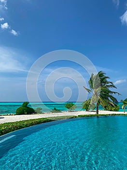 Outdoor tourism landscape. Luxurious beach resort with swimming pool  palm trees and blue sky.