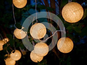 Outdoor Tree with Decorated Circular Lights, lamp light