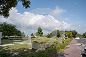 Outdoor trees and Park against white clouds