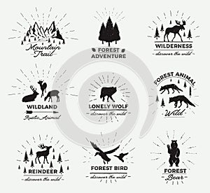 Outdoor Vector Emblems. Set of wilderness quotes, and design elements. Deers silhouettes, forest, trees, mountains. Vector set of