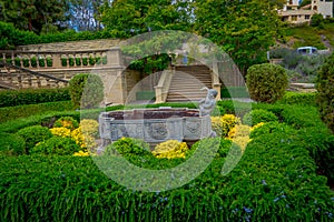 Outdoor view of Luxury House and estates with a beautiful artificial pond with acuatic plants as adorns in a back yard