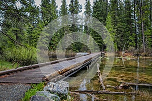 Outdoor view of wooden path over a stagnant water in a foggy forest, located Grand Tetons close to Jenny Lake