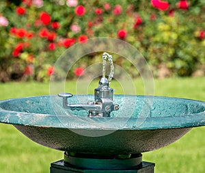 Outdoor water tap or foutain. Drinking water in the park on a background with blurred green plants