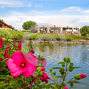 Outdoor wedding reception