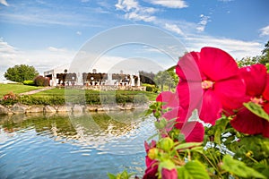 Outdoor wedding reception