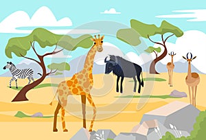 Outdoor wildland savannah landscape, africa wildlife animal giraffe, buffalo and zebra nature reserve park flat vector