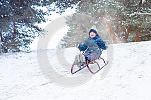 Boy sledding in a snowy forest. Outdoor winter fun for Christmas vacation.