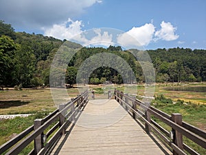 Outdoor wooden bridge leading to the forest surrounding the nature lake.