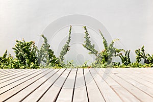 Outdoor wooden decking with velcro plant in the garden decorative.