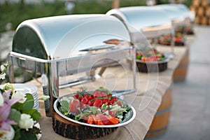 Outdoors fourchette table with italian appetizers and fresh flow