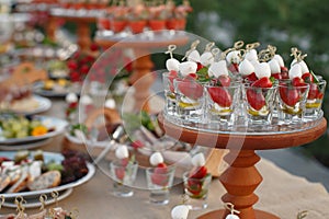 Outdoors fourchette table with italian appetizers and fresh flow