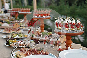 Outdoors fourchette table with italian appetizers and fresh flow