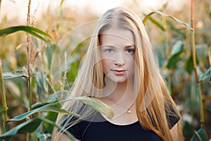 Outdoors lifestyle portrait of young adorable fresh looking redhead woman with freckles gorgeous extra long hair corn field sunny