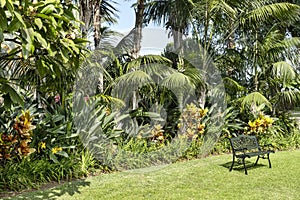 Outdoors tranquil corner with a bench surrounded by a luxurious tropical garden, Tenerife, Canary Islands, Spain