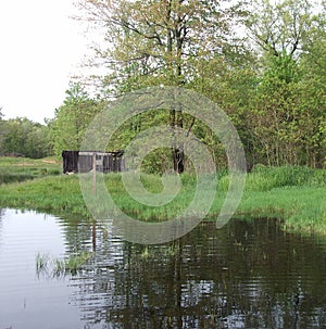 Outdoors, Trees, Water, Flooding, Grass, Yard, Birdhouse, Shed